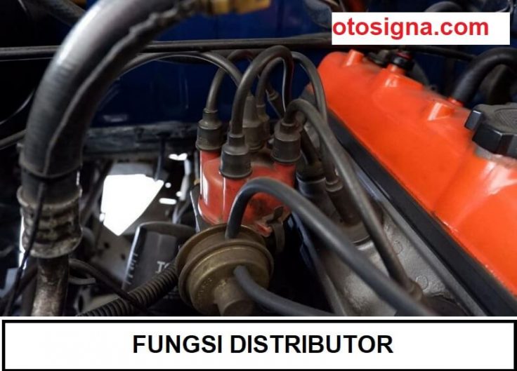 fungsi distributor