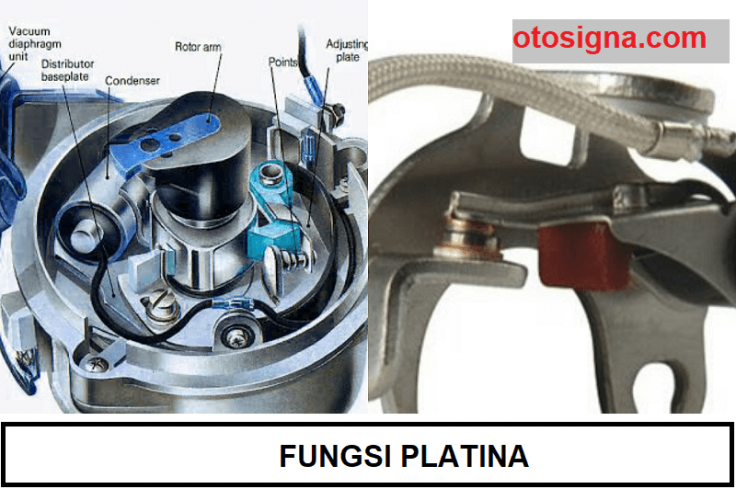 fungsi platina