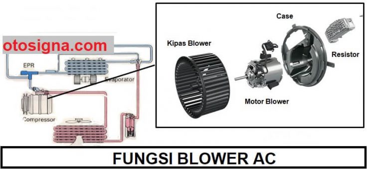 fungsi blower ac