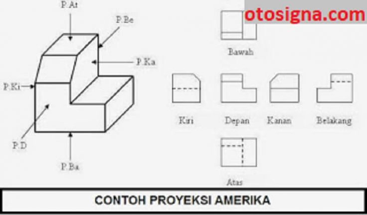 contoh proyeksi amerika