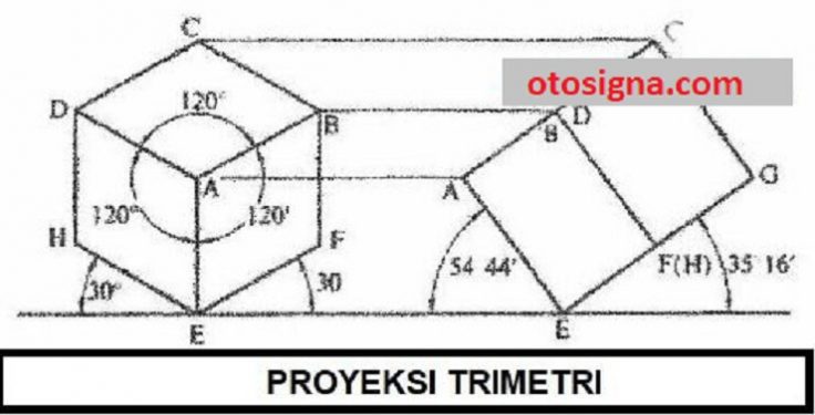 proyeksi trimetri