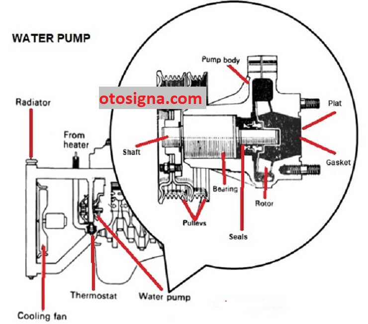 fungsi water pump mobil