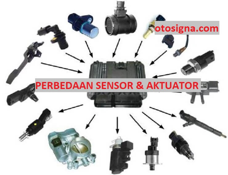 perbedaan sensor dan aktuator