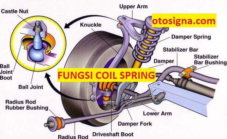 fungsi coil spring