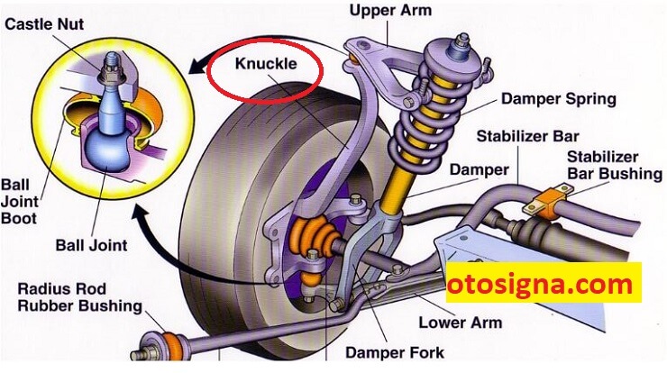 fungsi knuckle arm